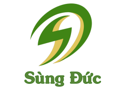 Tin Học Ngoại Ngữ Sùng Đức
